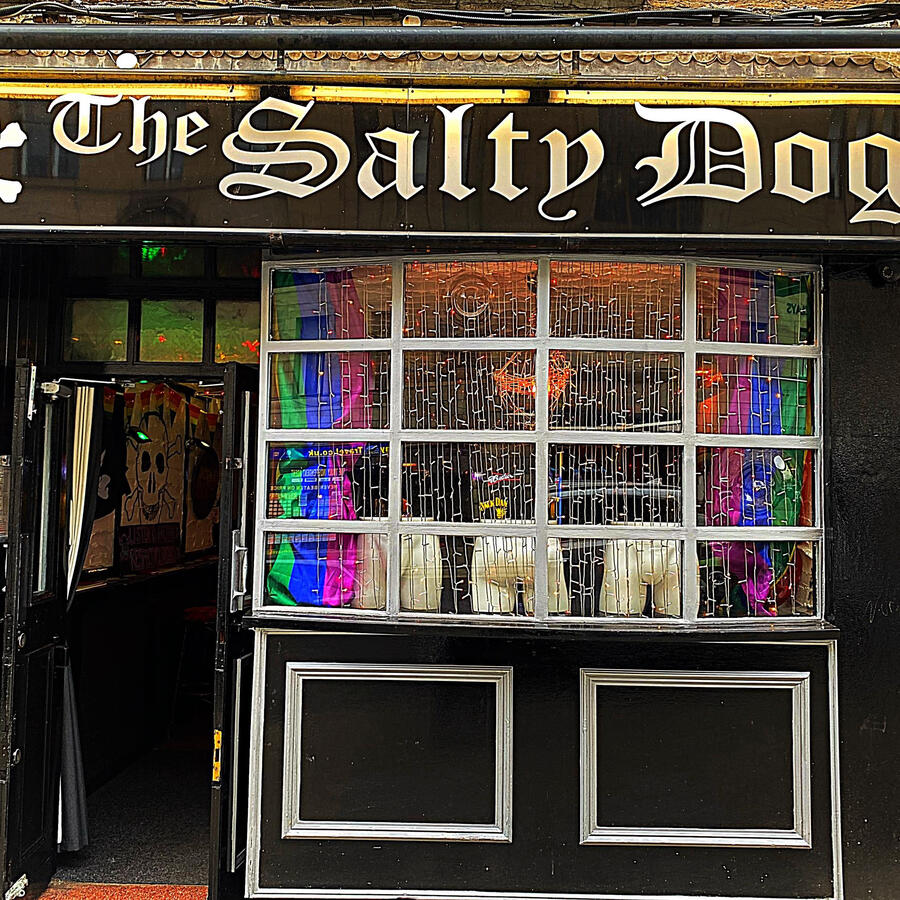 Salty Dog
